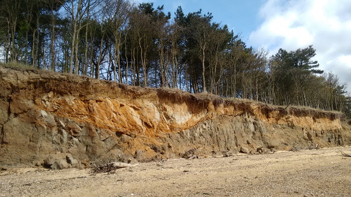 East Mersea cliffs 2017 Copyright: Preston Boyles