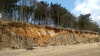 East Mersea cliffs 2017
