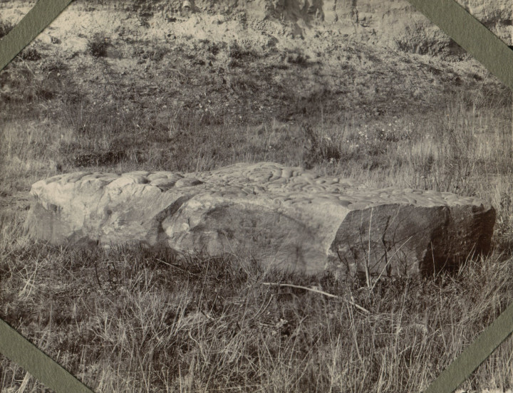 Grays Quarry EFC visit 1910 Mammilated sarsen boulder Copyright: William George