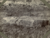 Grays Quarry EFC visit 1910 Mammilated sarsen boulder 