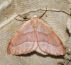 Barred Red 