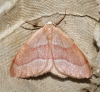 Barred Red