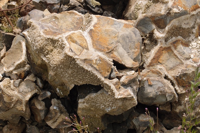 Calcite crystals in a septarian nodule at Elsenham Quarry Copyright: Gerald Lucy