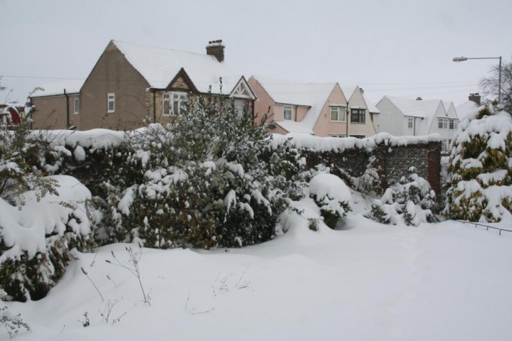 Snow in Grays 2 Dec 2010 Copyright: Peter Harvey