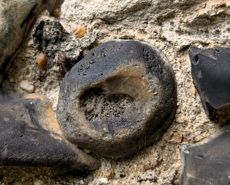 Rainham Church fossil sponge in flint 22 May 2025 Copyright: William George