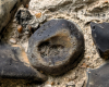 Rainham Church fossil sponge in flint 22 May 2025 