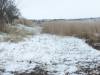 The Walls reedbed