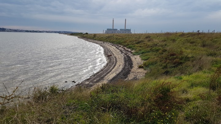 Shingle Beach Foreshore Interface Copyright: Malcolm Riddler