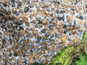 Debden Puddingstone (detail) Copyright: Gerald Lucy