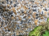 Debden Puddingstone (detail)