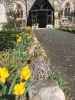 Sarsen stone and Puddingstone at South Weald Church 2