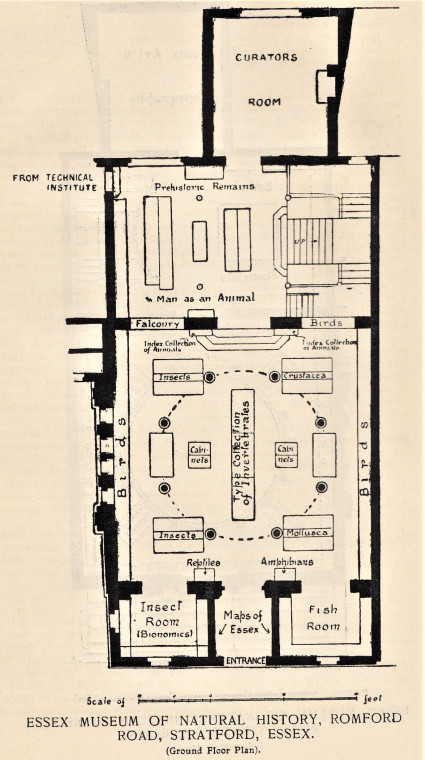 Passmore Edwards Museum Ground Floor Plan Romford Road Copyright: William George