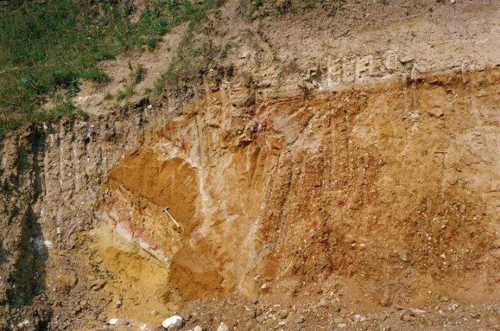 Great Sampford Howe Lane Pit (W side of N face) in 1980 Copyright: British Geological Survey (P212626)