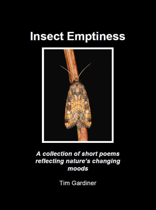 Insect Emptiness Cover Copyright: Tim Gardiner