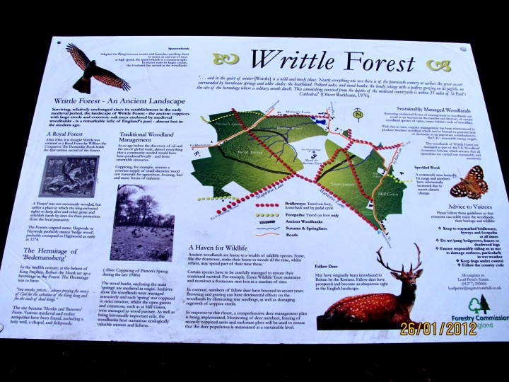 Writtle Forest Noticeboard Copyright: Graham Smith