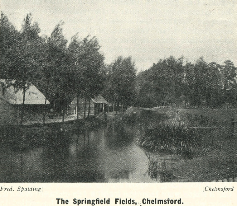 Chelmsford Springfield Fields F Spalding 1908 Homeland Copyright: Fred Spalding