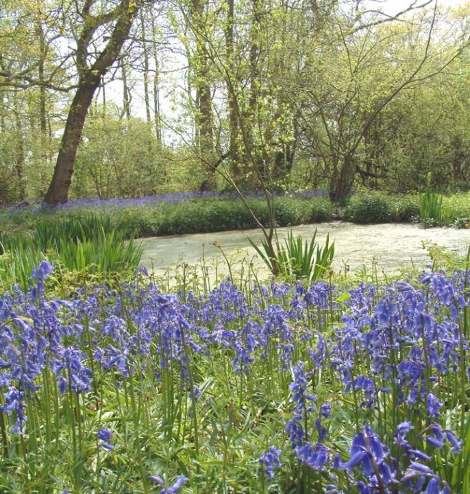 Lower Pond Copyright: Ian Rowing