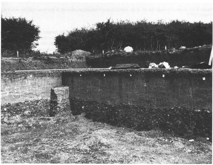 The archaeological excavation on Clacton Golf Course in 1970. Copyright: John Wymer