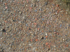 Beaumont Quay ground detail 29 August 2014 