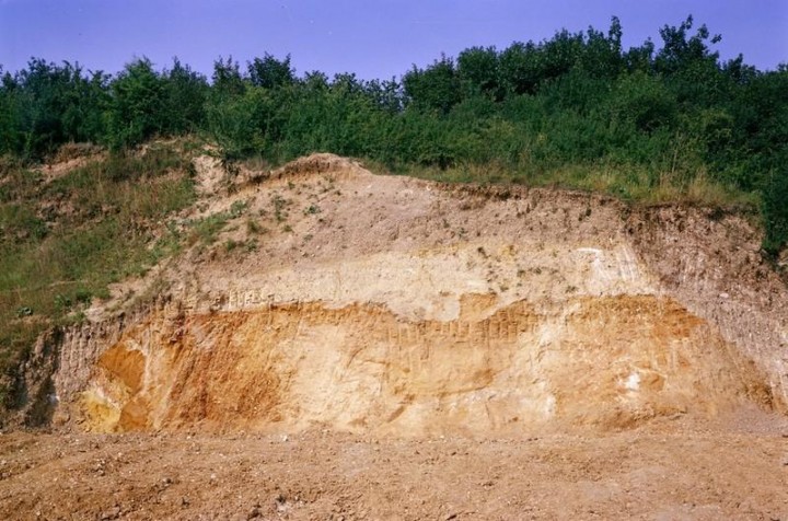 Great Sampford Howe Lane Pit (north face) in 1980 Copyright: British Geological Survey (P212628)