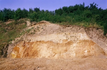 Great Sampford Howe Lane Pit (north face) in 1980 Copyright: British Geological Survey (P212628)