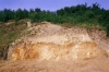 Great Sampford Howe Lane Pit (north face) in 1980