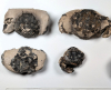 Chigwell Fossil Crabs London Clay scale mm 