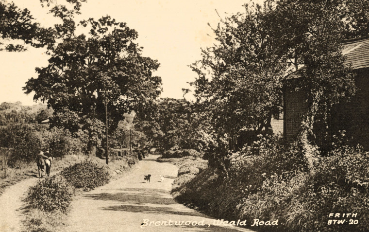 Brentwood Weald Road Copyright: William George