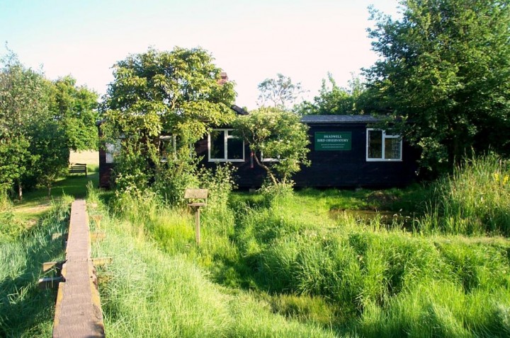 Bradwell Bird Hut Copyright: Graham Smith