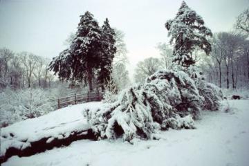 Wanstead Park in snow 2 Copyright: Peter Harvey