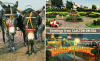 Clacton on Sea Multiview with Donkeys 