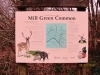 Mill Green Common Noticeboard 1 