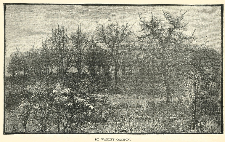 Warley Common Essex Holidays Lindley 1898 Copyright: Essex Holidays Lindley 1898