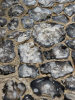 Hutton Church Knapped Flints 19 August 2025