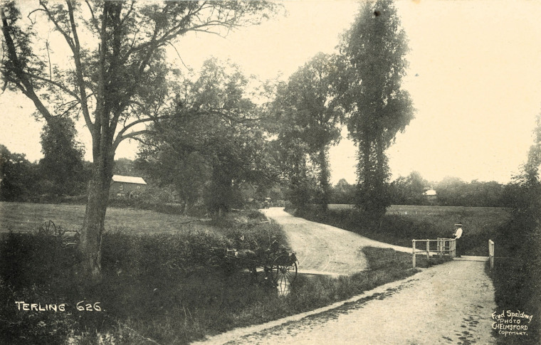 Terling River with horse and carriage Post Card Copyright: Fred Spalding