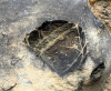 Rainham Church fossil sea urchin in flint 22 May 2025