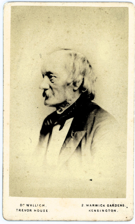 Richard Owen 1804-1892 3 Copyright: William George