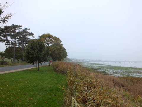 The Walls showing reedbed Copyright: Peter Pearson