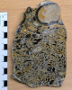 Hertfordshire Puddingstone sliced and polished cobble 