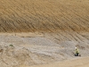 Anglian till above Kesgrave Gravel at Bulls Lodge Quarry