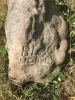 Inscription on the Friars Farm Boundary Stone -1