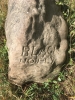 Inscription on the Friars Farm Boundary Stone -1 