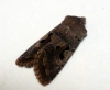 Hebrew Character 3 Copyright: Ben Sale