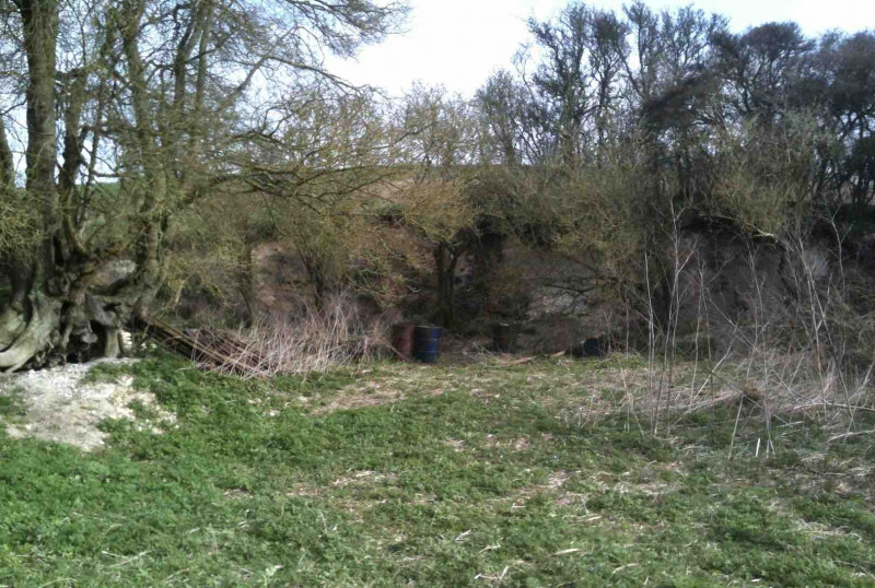 Crave Hall Farm Chalk Pit 1 (April 2013) Copyright: Gerald Lucy