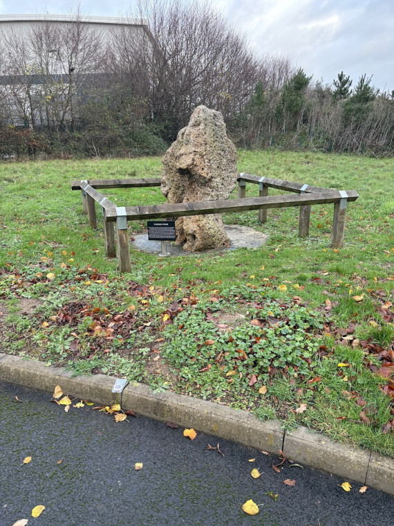 Harlow Puddingstone Dec 2025 Copyright: Derek Potts