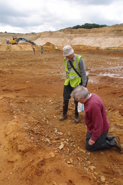 Examine the Red Crag nodule bed at Elsenham Quarry Copyright: Gerald Lucy