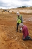 Examine the Red Crag nodule bed at Elsenham Quarry