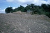 MillWood slope 