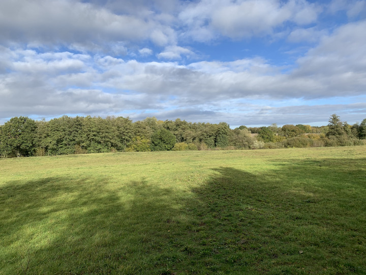 Looking north towards site of pits Copyright: D. Potts, Nov 2023