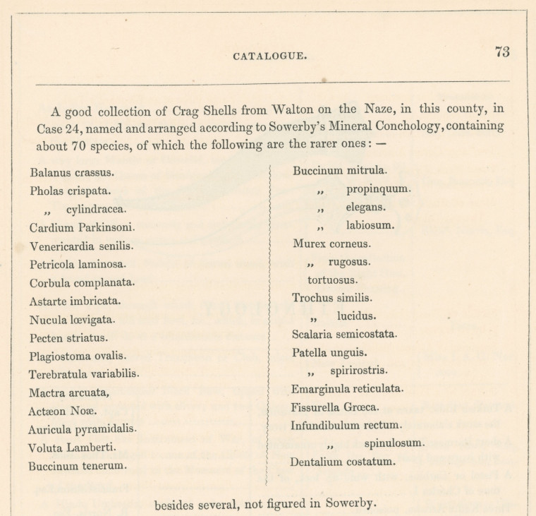 Saffron Walden Museum Red Crag Fossil Catalogue 1845 Copyright: Abridged Catalogue of Saffron Walden Museum 1845